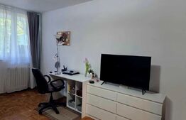 Garsonieră de închiriat, 28 mp - zona Iulius Mall 