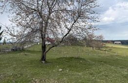 De vanzare teren intravilan, 1.716 mp - Mărișel