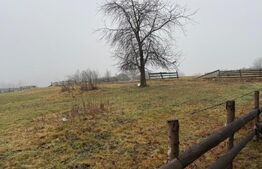 De vanzare teren intravilan, 1.716 mp - Mărișel