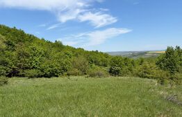 Teren de vânzare Exterior Est - 147780TV | BLITZ Cluj-Napoca | Poza1