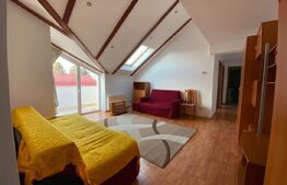 Apartament 3 camere, 65 mp, pet friendly, zona Bucium