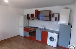 Doua case individuale, curte comuna, 413 mp utili, 438 mp teren