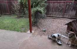 Duplex de vanzare in zona Terra, 110 mp utili, teren de 50 mp!