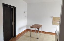 Apartament 2 camere, curte, 60 mp, parcare, zona Buna Ziua