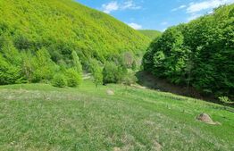 EXCLUSIVITATE! Teren extravilan, 5.400 mp, Comuna Iara, Valea Vadului 