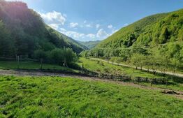 EXCLUSIVITATE! Teren extravilan, 5.400 mp, Comuna Iara, Valea Vadului 