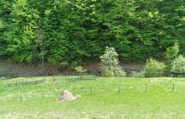 EXCLUSIVITATE! Teren extravilan, 5.400 mp, Comuna Iara, Valea Vadului 