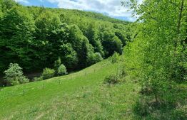 EXCLUSIVITATE! Teren extravilan, 5.400 mp, Comuna Iara, Valea Vadului 