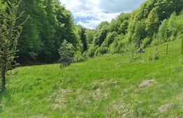 EXCLUSIVITATE! Teren extravilan, 5.400 mp, Comuna Iara, Valea Vadului 