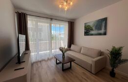 Apartament 2 camere, pet friendly, parcare subterana, zona Cetății