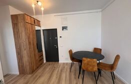 Apartament 2 camere, pet friendly, parcare subterana, zona Cetății