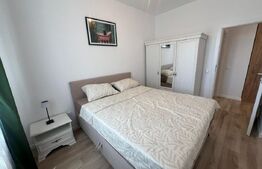 Apartament 2 camere, pet friendly, parcare subterana, zona Cetății