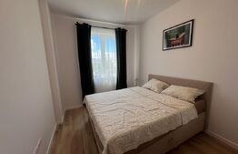 Apartament 2 camere, pet friendly, parcare subterana, zona Cetății