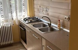 Apartament 2 camere, 50 mp, zona Gara