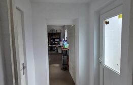 Hală/Spațiu de închiriat | 85 mp | zona Avram Iancu
