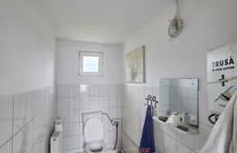 Hală/Spațiu de închiriat | 85 mp | zona Avram Iancu