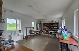 Hală/Spațiu de închiriat | 85 mp | zona Avram Iancu