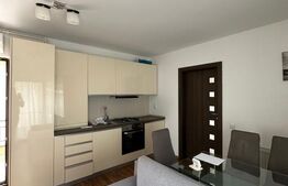 Apartament 2 camere, 42 mp, terasă 27 mp, zona Andrei Muresanu