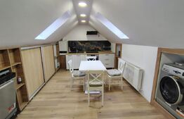 Apartament tip studio la casă, 42 mp, zona complexului Hașdeu, Cluj-Napoca