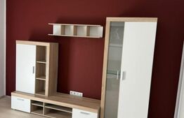 Apartament de inchiriat 2 camere, 47 mp, zona Avantgarden 3