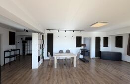 Apartament 3 camere, 90 mp, 2 bai, pet friendly, garaj Calea Turzii