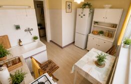 Apartament 3 camere, 59,31 mp, etaj intermediar, 100 m de Someș, Grigorerscu