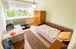 Apartament 3 camere, 59,31 mp, etaj intermediar, 100 m de Someș, Grigorerscu