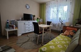 Apartament in cartierul Florilor, 35 mp, zona ITC Vlahuta