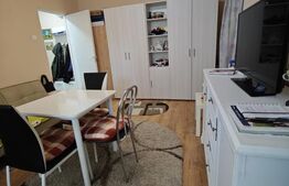 Apartament in cartierul Florilor, 35 mp, zona ITC Vlahuta
