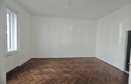 Doua partamente cu potențial de unificare, curte interioară si garaj, str Horea