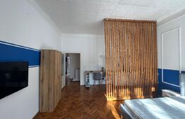 Doua partamente cu potențial de unificare, curte interioară si garaj, str Horea