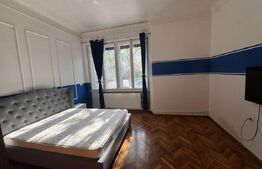Doua partamente cu potențial de unificare, curte interioară si garaj, str Horea