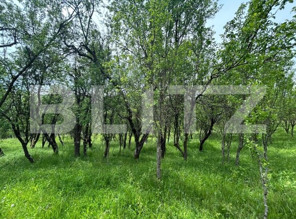 Casa de vânzare 8 camere Bunesti - 195643CV | BLITZ Cluj-Napoca | Poza10