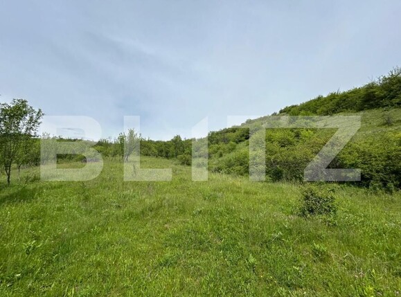 Casa de vânzare 8 camere Bunesti - 195643CV | BLITZ Cluj-Napoca | Poza12