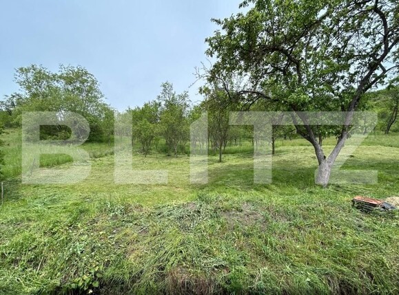 Casa de vânzare 8 camere Bunesti - 195643CV | BLITZ Cluj-Napoca | Poza9