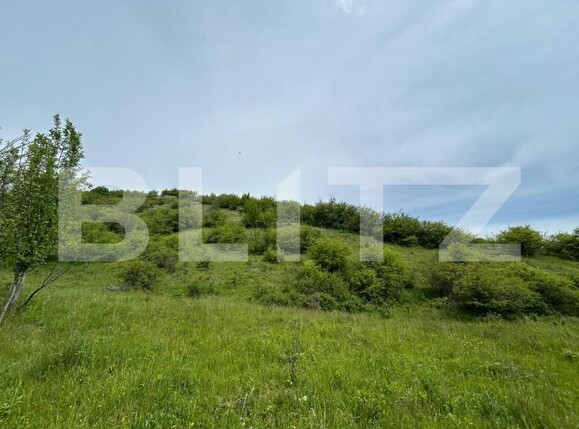 Casa de vânzare 8 camere Bunesti - 195643CV | BLITZ Cluj-Napoca | Poza11