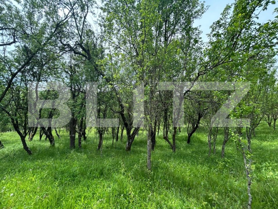 Casa de vânzare 8 camere Bunesti - 195643CV | BLITZ Cluj-Napoca | Poza10