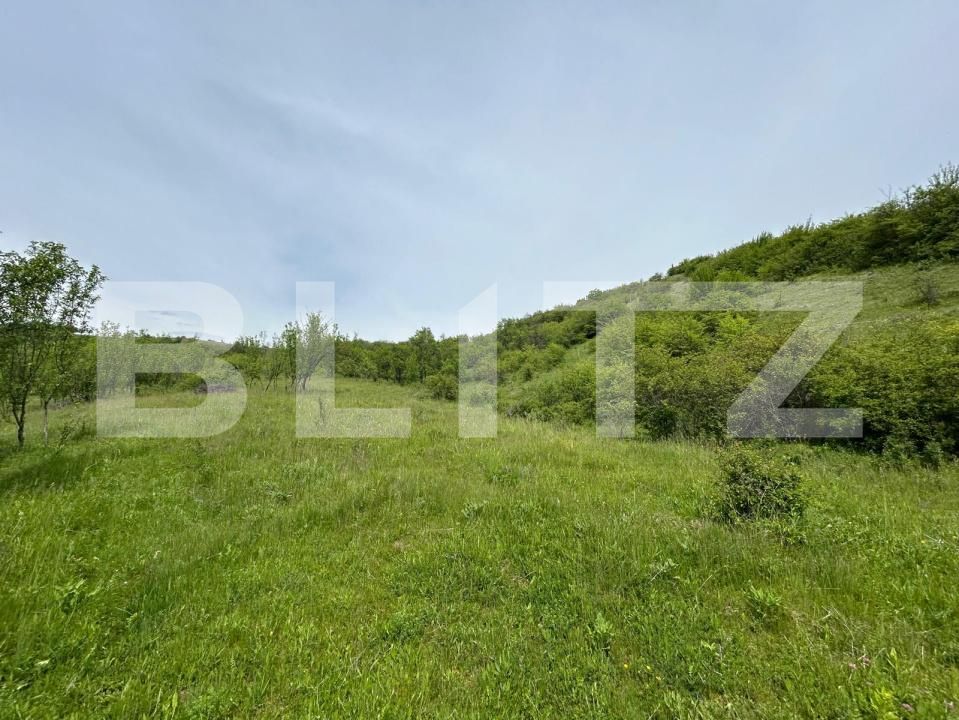 Casa de vânzare 8 camere Bunesti - 195643CV | BLITZ Cluj-Napoca | Poza12