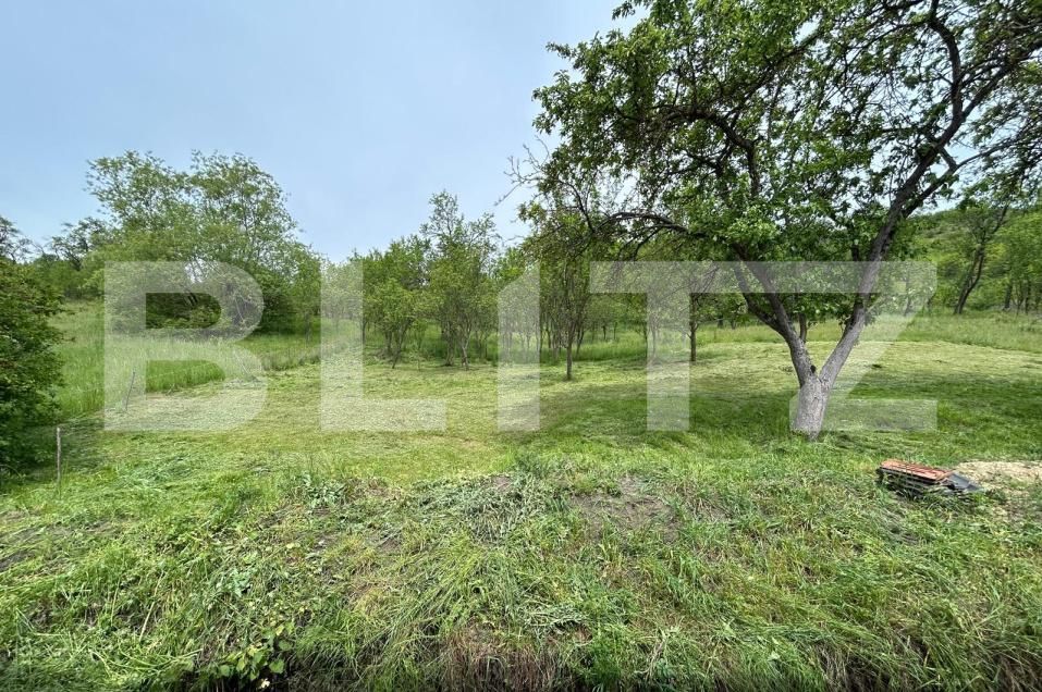 Casa de vânzare 8 camere Bunesti - 195643CV | BLITZ Cluj-Napoca | Poza9