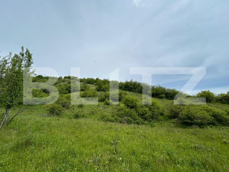 Casa de vânzare 8 camere Bunesti - 195643CV | BLITZ Cluj-Napoca | Poza11