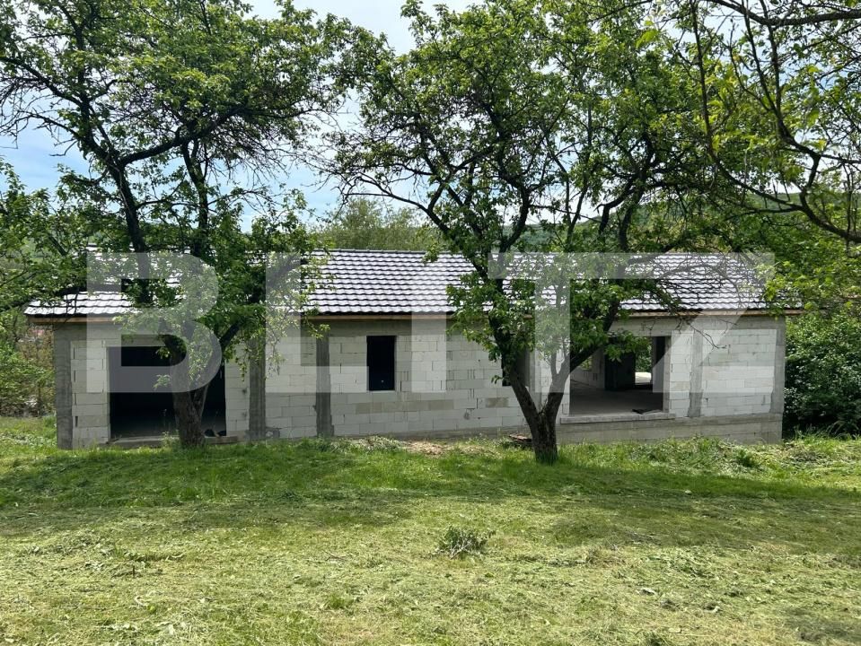 Casa de vânzare 8 camere Bunesti - 195643CV | BLITZ Cluj-Napoca | Poza3