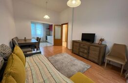 Apartament 1 camera, 40 mp, zona Cetatea Fetei