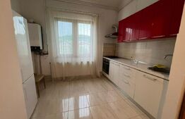 Apartament 1 camera, 40 mp, zona Cetatea Fetei