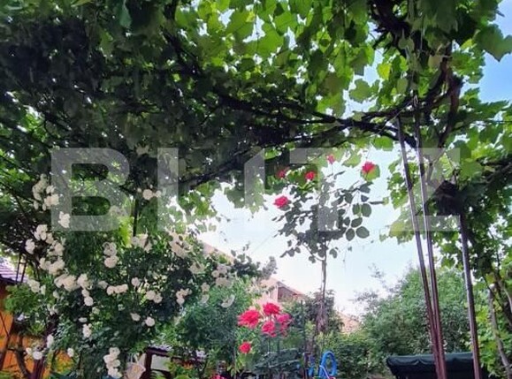 Casa de vânzare 7 camere Aurel Vlaicu - 195652CV | BLITZ Brașov | Poza15