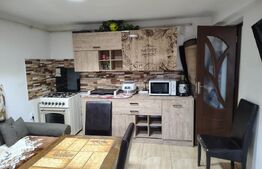 Casă individuală aproape de lac, 4 camere, priveliște superbă, Sacalaia