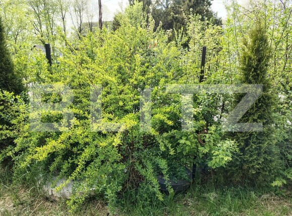 Casa de vânzare 4 camere Exterior Est - 195692CV | BLITZ Cluj-Napoca | Poza18