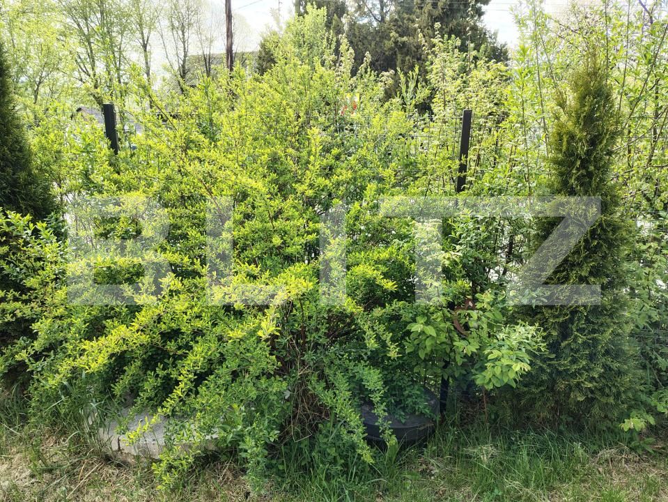 Casa de vânzare 4 camere Exterior Est - 195692CV | BLITZ Cluj-Napoca | Poza18