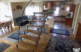 Casa cu 13 camere, 480 mp, 400 mp teren, partial mobilata, zona Andrei Muresanu!