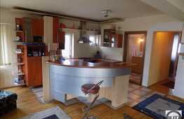 Casa cu 13 camere, 480 mp, 400 mp teren, partial mobilata, zona Andrei Muresanu!