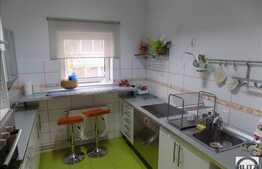 Casa cu 13 camere, 480 mp, 400 mp teren, partial mobilata, zona Andrei Muresanu!